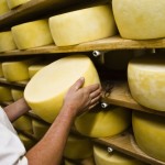 MF - Dairy