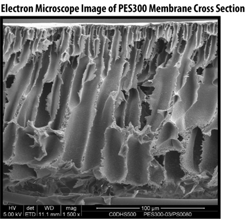 UF5 - UF SEM X-Section UF5 - UF SEM X-Section