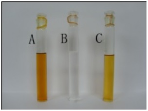AD28 - Recovery of OBA - Image #2