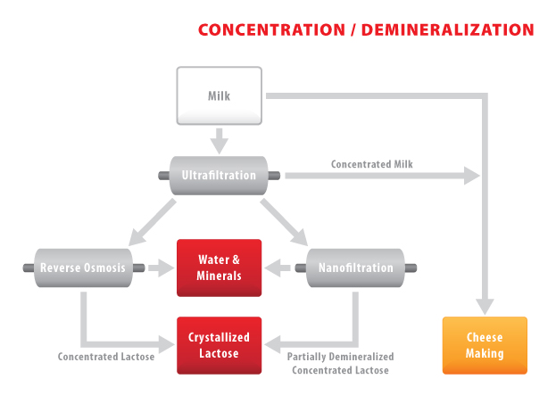 AD32 - Lactose Concentration