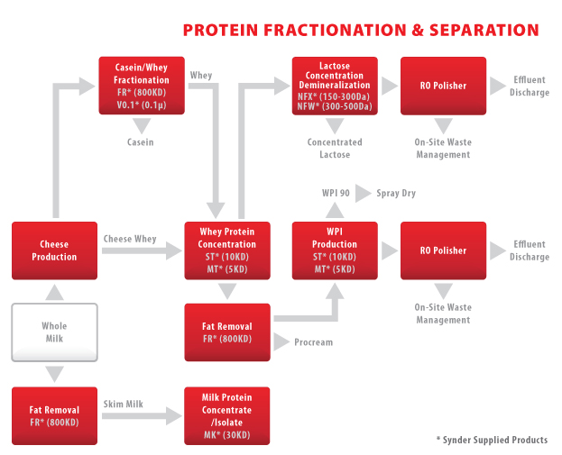 AD34 - Protein Fractionation-Separation