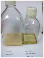 AD37 - Oat Sweetener Clarification