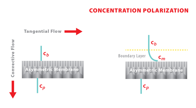 LC9 - Concentration Polarization